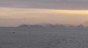 Whale blowing, sunset, Antarctica
