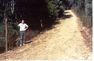Mt Terrible: the track(photo by David Horne)