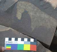 Petroglyph, Wildebeest Kuil Rock Art Centre, Kimberly, South Africa